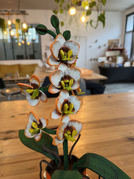 Orchidée en bois - en 2 ateliers suivis !