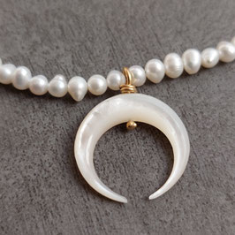 Collier Freshwater