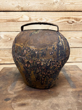 Froschmaulschelle riesig antik 36cm x24cm