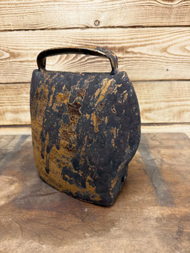 Flachschelle riesig 24cm x 19cm