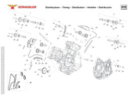 19 Motor : Nockenwelle / Spanner / Steuerkette / Dekompressionseinheit