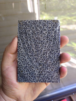 Raffir Koralle #2 - Black