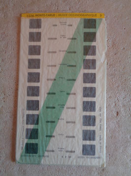 Planche stéréoscopique Musée Océanographique de Monte Carlo