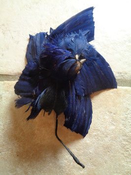 Fleur plumes bleues