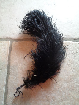 Plume d'autruche noire