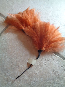 Plumet orange