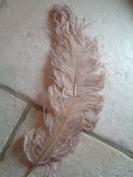 Plume d'autruche rose