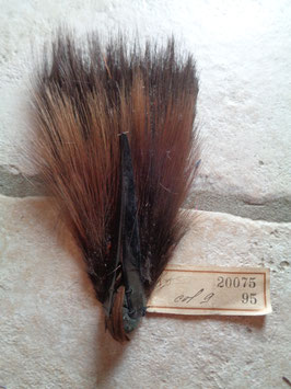 Appliqué marron