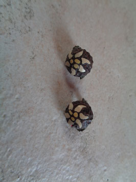 Boucles d'oreilles Edelweiss 40's