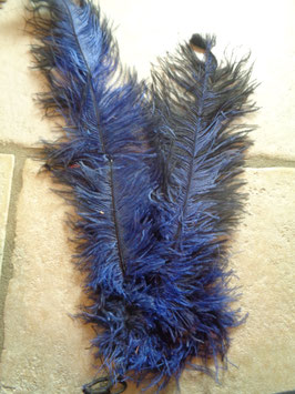 Plumes d'autruche bleues