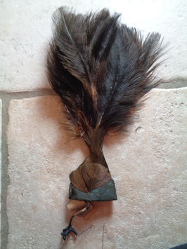 Plumet marron