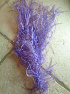 Plume d'autruche violette