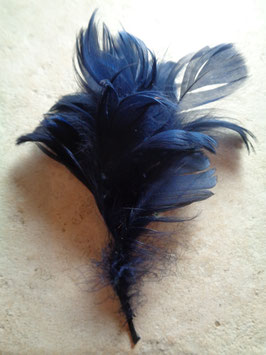Plumet bleu