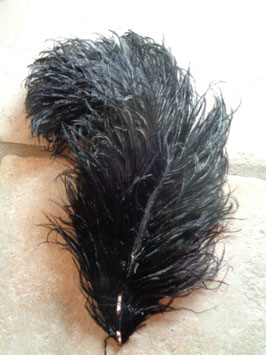 Plume d'autruche noire