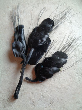 Epis noirs