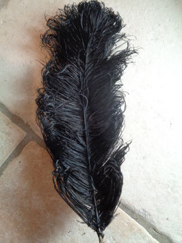 Plume d'autruche noire
