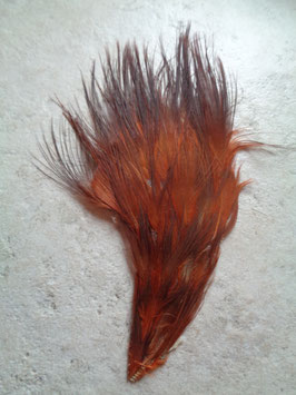 Appliqué de plumes marrons