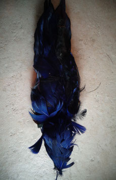 Aile bleue