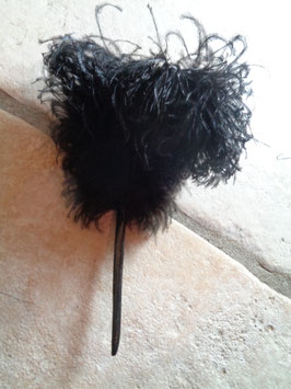 Plume d'autruche courbure
