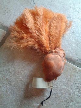 Plumet orange