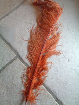 Plume d'autruche orange
