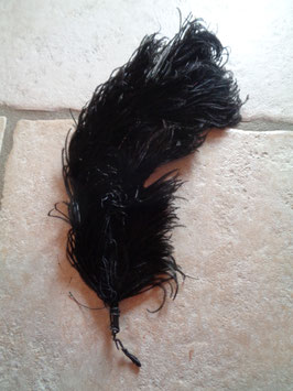 Plume d'autruche noire