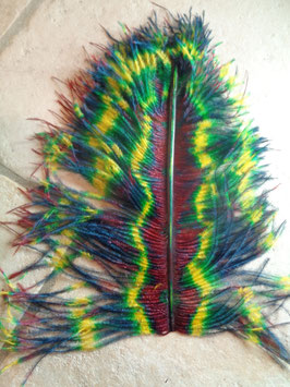 Plume d'autruche multicolore