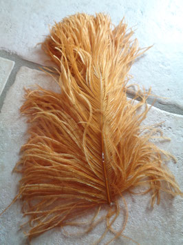 Plume d'autruche bronze