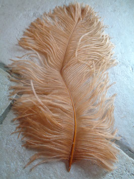 Plume d'autruche Corail