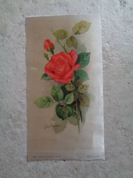 Carte tissu 50's
