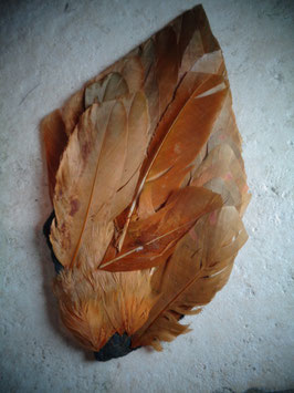 Aile orange