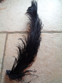 Plume d'autruche noire