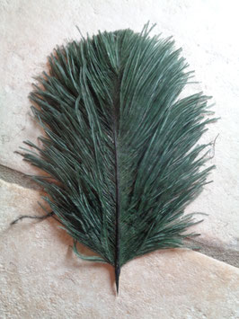 Plume d'autruche verte
