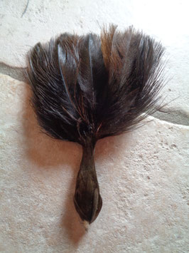 Plumet marron