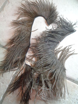 Plumes d'atruche noires