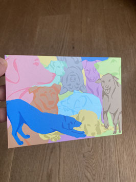 Bunte Hunde-Postkarte. Kostenloser Versand ab 6€