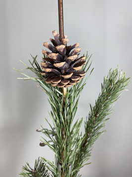 Zapfen klein;  Natur | Gold | Weiss
