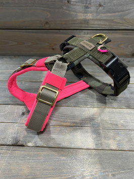GESCHIRR *EASY TRICOLOR * CAMOU/NEO PINK  Gurt: SAHARA/ OLIV