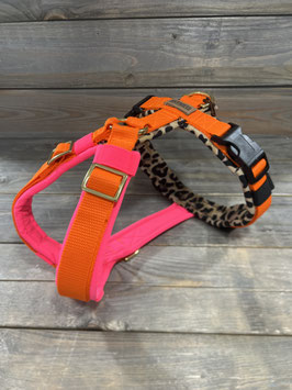 ELBgschirr * EASY TRICOLOR* LEOPARD/ PINK  mit Gurtband ORANGE