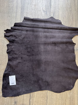 SCAMOSCIATO TESTA MORO 1201