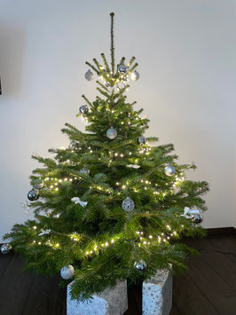 Die Silberne(1,25m - 1,50m) []