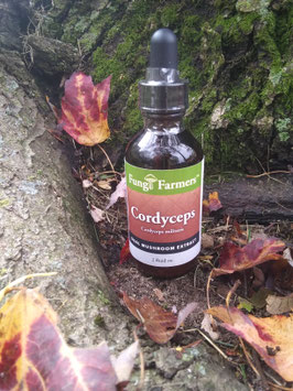 Cordyceps Mushroom Tincture