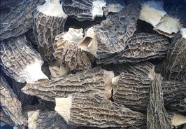 Dried Morel Mushrooms