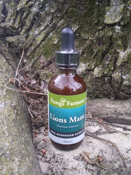 Lions Mane Mushroom Tincture