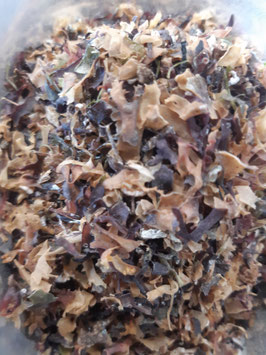 Irish Moss (Knorpeltang geschnitten), 50 gr.