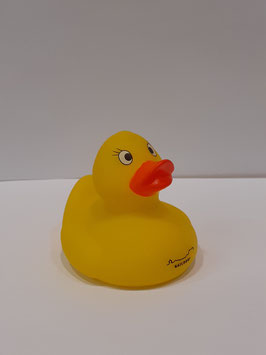 Badeente mit Skyline