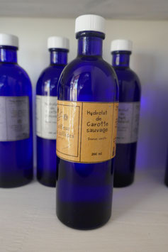 Hydrolat de carotte sauvage