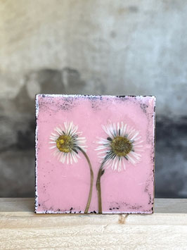 Wachsmini "Gänseblümchen_rosa"