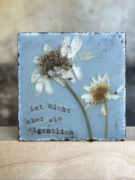 Wachsmini "aber wie eigentlich"