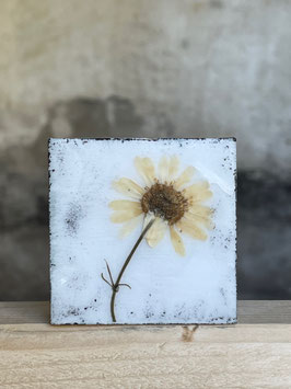 Wachsmini "weisse_blume"
